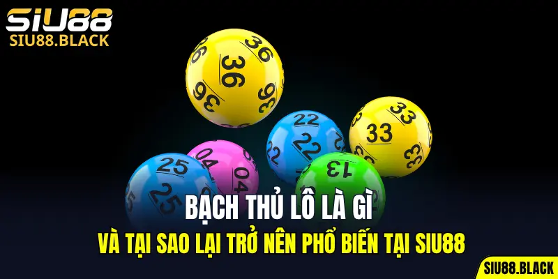 Bạch Thủ Lô Là Gì & Lý Do Trở Nên Phổ Biến Tại SIU88 3 bạch thủ lô là gì