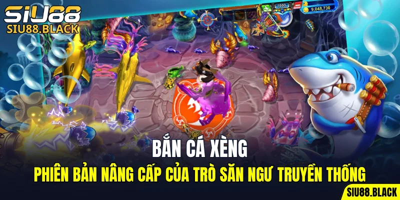 Đá Gà Thomo - Mỗi Trận Là Một Màn So Tài Nghẹt Thở 5 Bắn cá xèng - phiên bản nâng cấp của trò săn ngư truyền thống