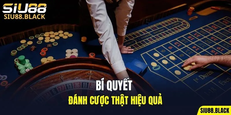 Đá Gà Thomo - Mỗi Trận Là Một Màn So Tài Nghẹt Thở 7 Bí quyết để đánh cược thật hiệu quả