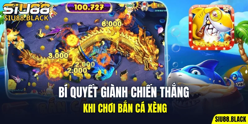 Đá Gà Thomo - Mỗi Trận Là Một Màn So Tài Nghẹt Thở 7 Bí quyết giành chiến thắng khi chơi bắn cá xèng