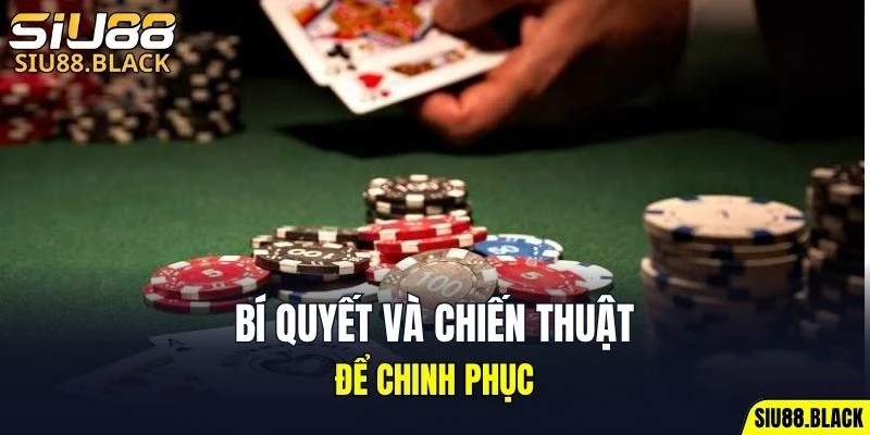 Đá Gà Thomo - Mỗi Trận Là Một Màn So Tài Nghẹt Thở 7 Bí quyết khi muốn chinh phục tựa game