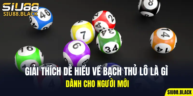 Cách Chơi Bài Uno - Hé Lộ Chiến Thuật Bất Bại Hữu Ích 5 Giải thích dễ hiểu về bạch thủ lô là gì dành cho người mới