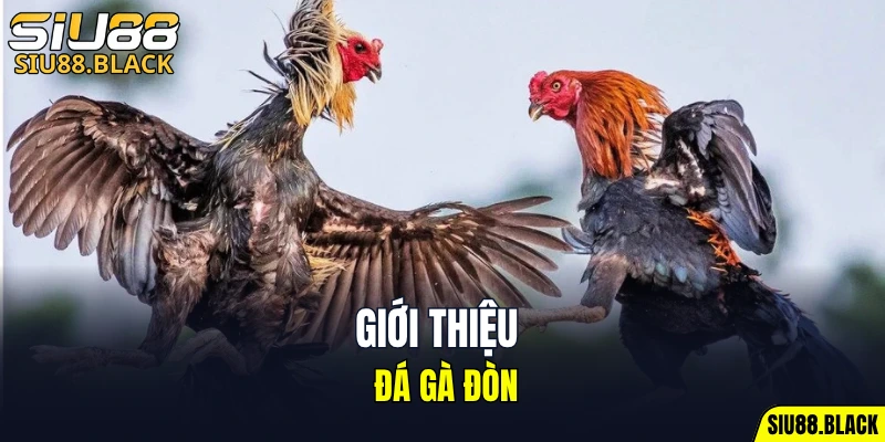 Cách Chơi Bài Uno - Hé Lộ Chiến Thuật Bất Bại Hữu Ích 5 Giới thiệu đá gà đòn