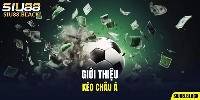 Đá Gà Thomo - Mỗi Trận Là Một Màn So Tài Nghẹt Thở 5 Giới thiệu Kèo Châu Á