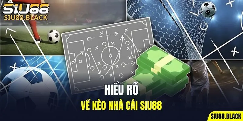 Đá Gà Thomo - Mỗi Trận Là Một Màn So Tài Nghẹt Thở 5 Hiểu rõ về kèo nhà cái SIU88