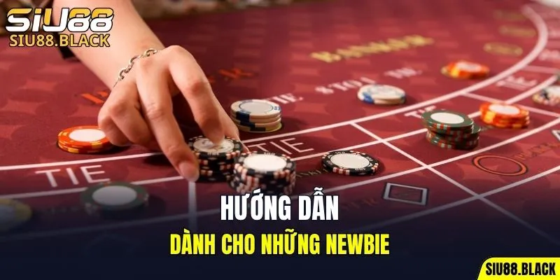 Đá Gà Thomo - Mỗi Trận Là Một Màn So Tài Nghẹt Thở 6 Hướng dẫn cụ thể dành cho những newbie