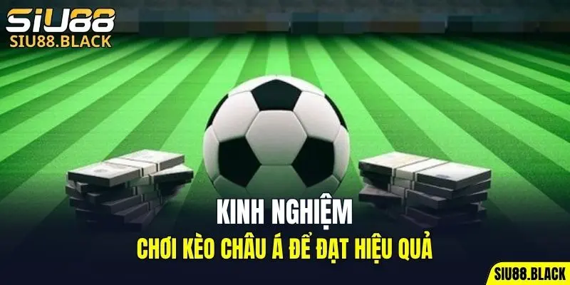 Đá Gà Thomo - Mỗi Trận Là Một Màn So Tài Nghẹt Thở 6 Kinh nghiệm chơi Kèo Châu Á để đạt hiệu quả
