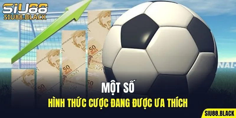 Đá Gà Thomo - Mỗi Trận Là Một Màn So Tài Nghẹt Thở 6 Một số hình thức cược đang được ưa thích