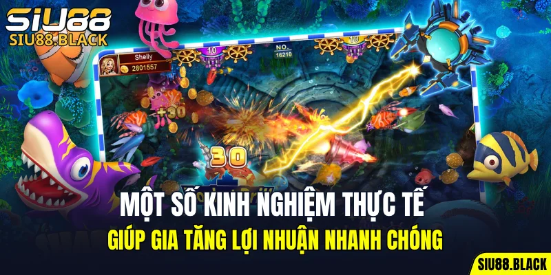 Đá Gà Thomo - Mỗi Trận Là Một Màn So Tài Nghẹt Thở 7 Một số kinh nghiệm thực tế giúp gia tăng lợi nhuận nhanh chóng