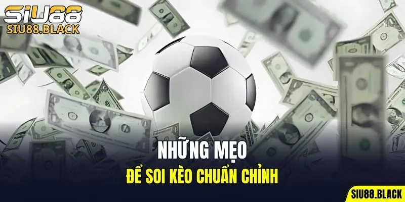 Đá Gà Thomo - Mỗi Trận Là Một Màn So Tài Nghẹt Thở 7 Mẹo để soi kèo chuẩn chỉnh