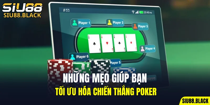 Đá Gà Thomo - Mỗi Trận Là Một Màn So Tài Nghẹt Thở 6 Những mẹo giúp bạn tối ưu hóa chiến thắng poker