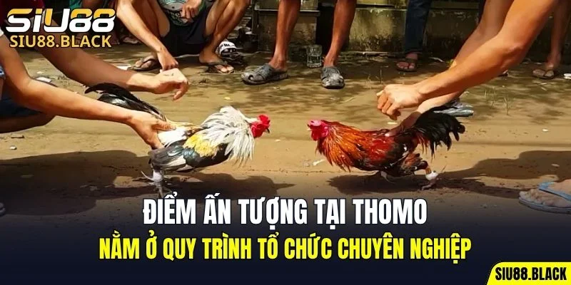 Cách Chơi Bài Uno - Hé Lộ Chiến Thuật Bất Bại Hữu Ích 5 Những trận chiến nảy lửa giữa các chiến kê