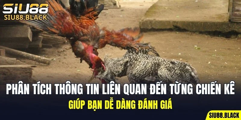 Cách Chơi Bài Uno - Hé Lộ Chiến Thuật Bất Bại Hữu Ích 7 Phân tích thông tin liên quan đến từng chiến kê