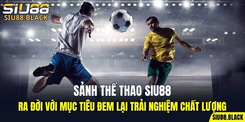 Thể Thao SIU88 4 Tham gia tranh tài ở các giải đấu quốc tế