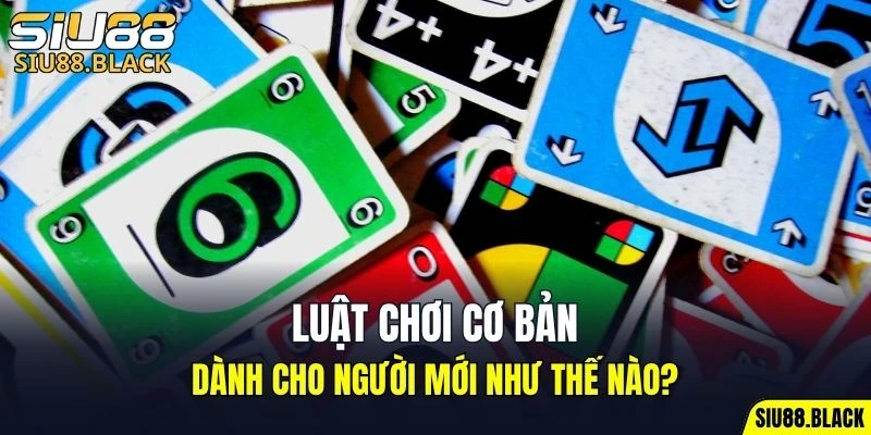 Đá Gà Thomo - Mỗi Trận Là Một Màn So Tài Nghẹt Thở 6 Tìm hiểu quy tắc chia bài có trình tự chi tiết