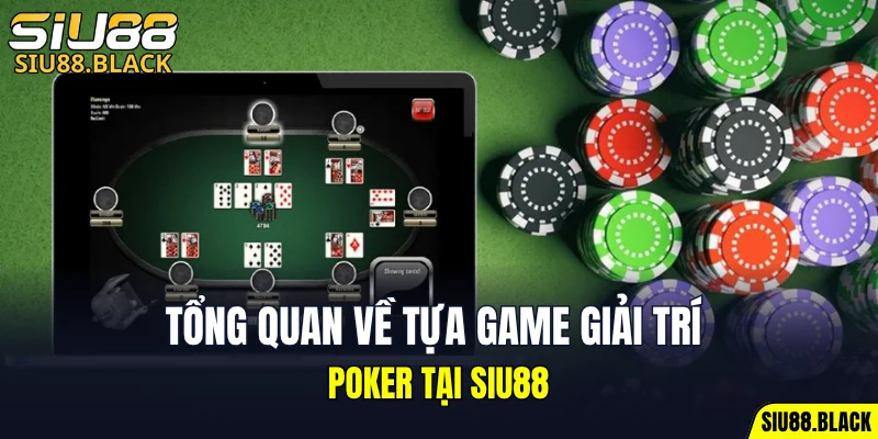 Đá Gà Thomo - Mỗi Trận Là Một Màn So Tài Nghẹt Thở 5 Tổng quan về tựa game giải trí poker tại SIU88