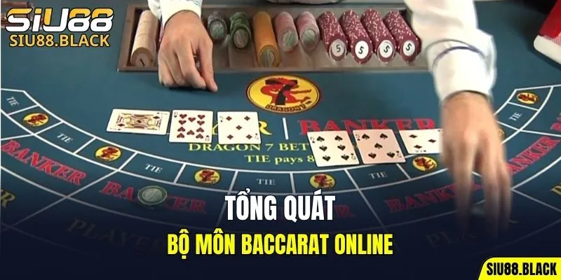Đá Gà Thomo - Mỗi Trận Là Một Màn So Tài Nghẹt Thở 5 Tổng quát về bộ môn Baccarat online