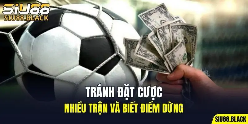 Đá Gà Thomo - Mỗi Trận Là Một Màn So Tài Nghẹt Thở 7 Tránh đặt cược nhiều trận và biết điểm dừng