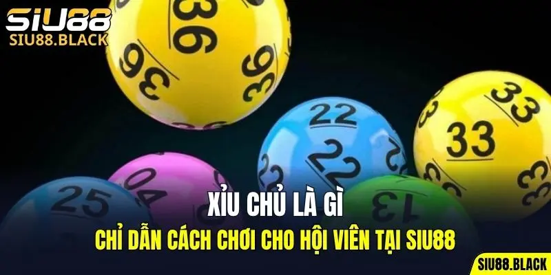 Xỉu Chủ Là Gì - Giải Nghĩa Cho Người Mới Bắt Đầu Chơi 4 xỉu chủ là gì